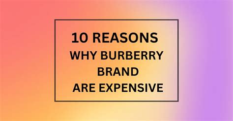 is burberry expensive|why burberry so expensive.